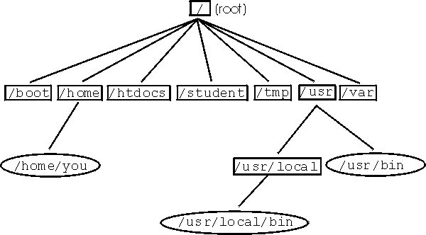 The file system on Faraday